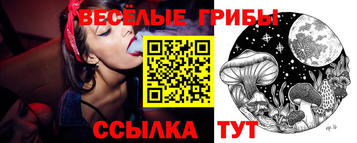 наркота  Псилоцибиновые грибы Psilocybine cubensis  Вход с VPN  Ялта 